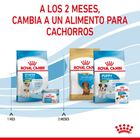 Royal Canin Starter Mother&Baby Mini pienso para perros, , large image number null